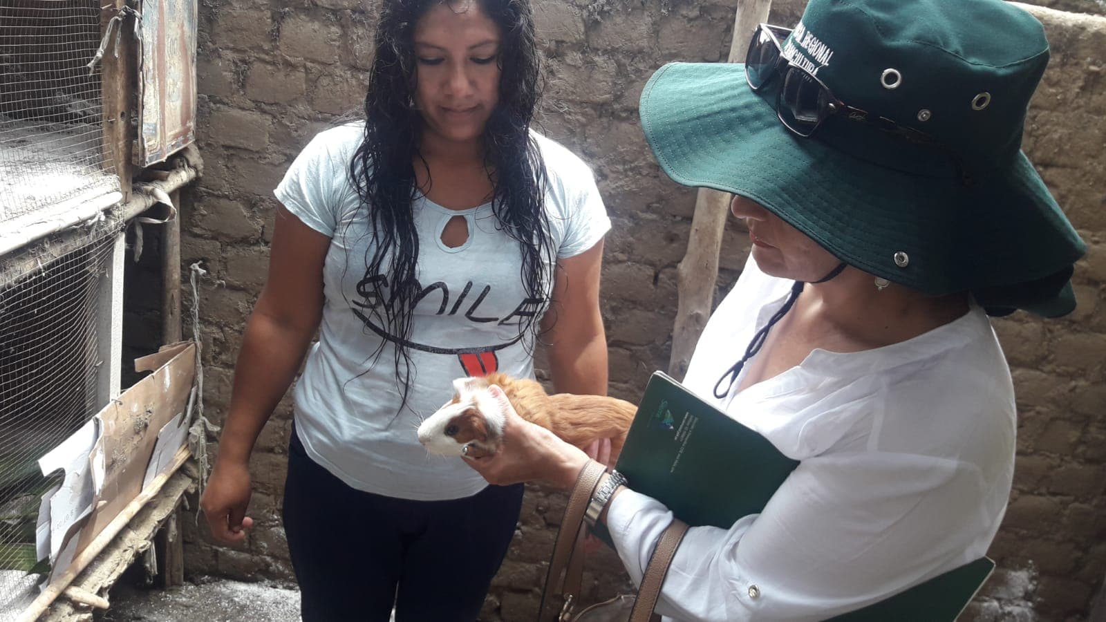 Gerencia Regional entrega módulos de cuyes para inicio de escuelas de campo