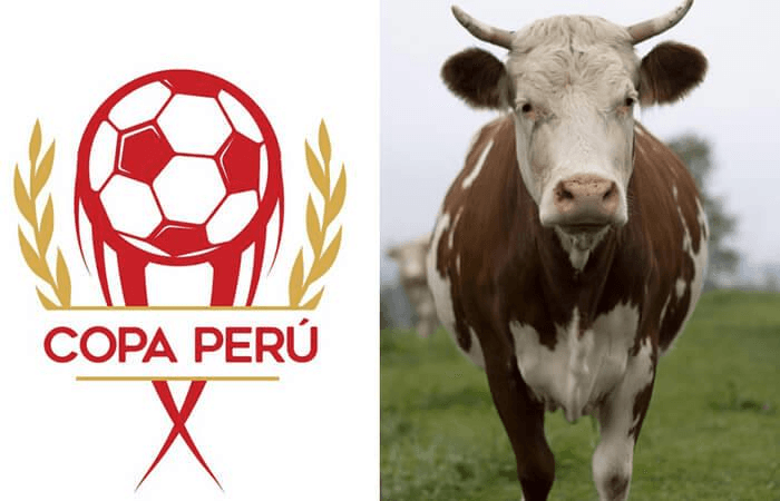 Copa Perú: diez casos insólitos ocurridos en el torneo