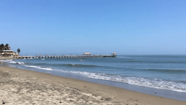 La Libertad | Playas de Trujillo lucen limpias y con mayor presencia de especies marinas | RPP Noticias