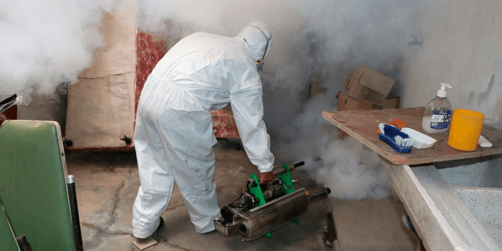 Confirman siete casos de dengue en San Pedro de Lloc