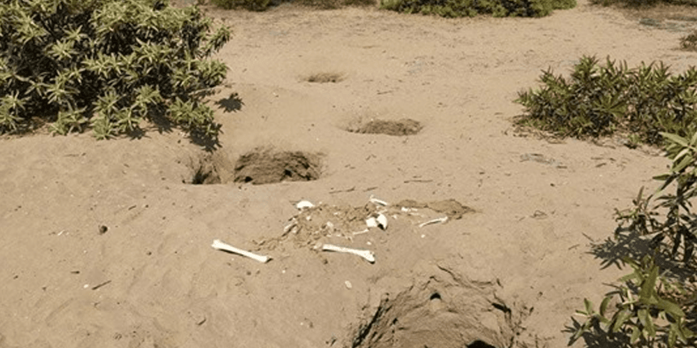 Monumento arqueológico es depredado en plena pandemia