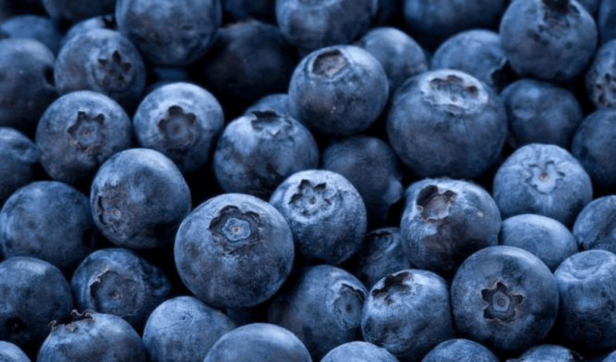 Control de plaga mantiene a La Libertad como principal exportador de arándanos