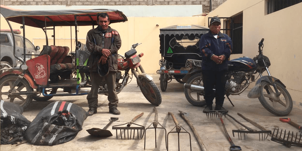Sujetos son sorprendidos talando árboles para convertirlos en carbón de forma ilegal