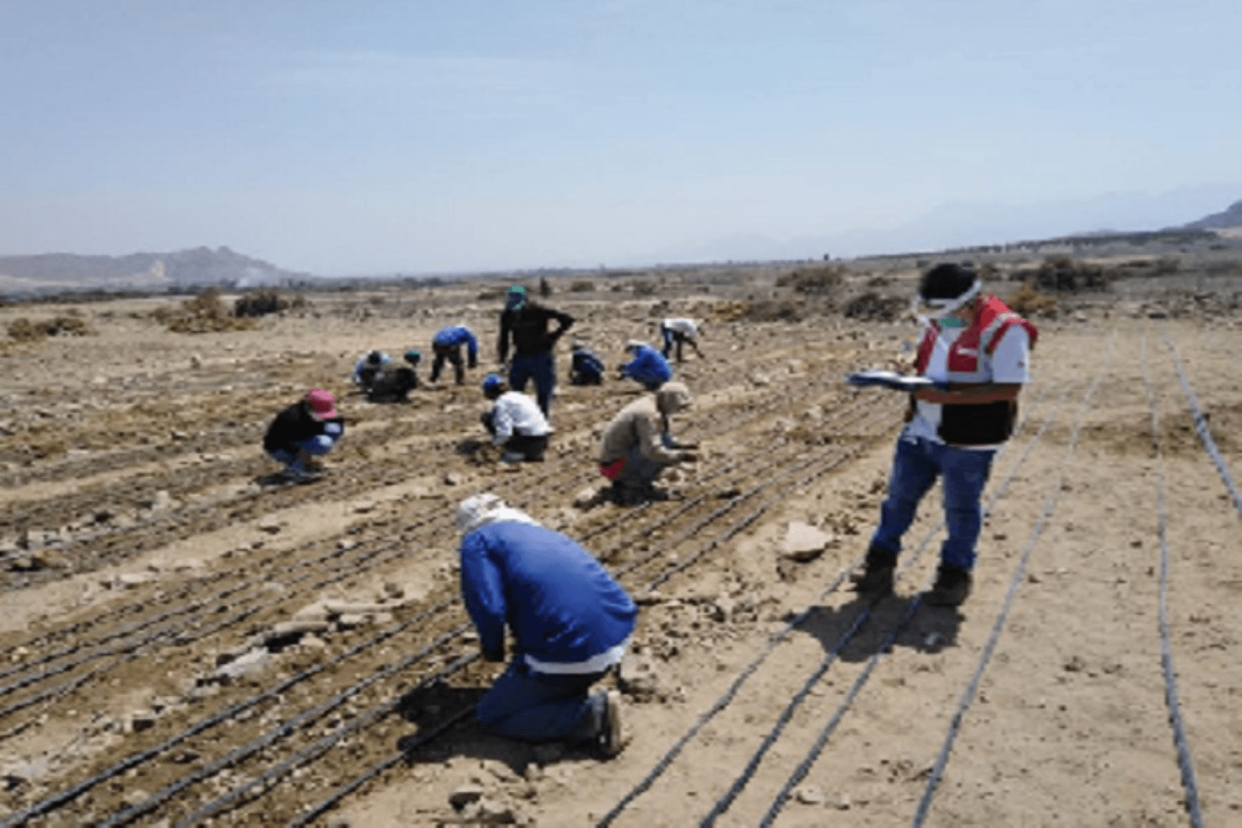 Sunafil atiende más de 1,200 denuncias en La Libertad durante emergencia sanitaria