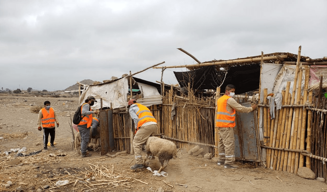 La Libertad: invasiones a sitios arqueológicos no cesan pese a pandemia