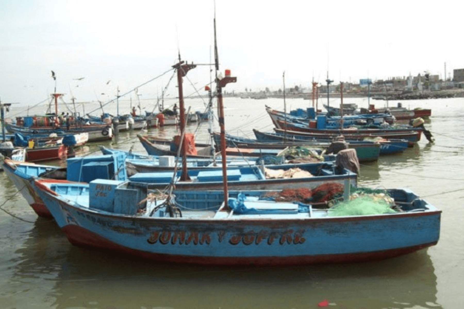 Presencia de oleajes anómalos obligan a cerrar a 61 puertos de todo el litoral