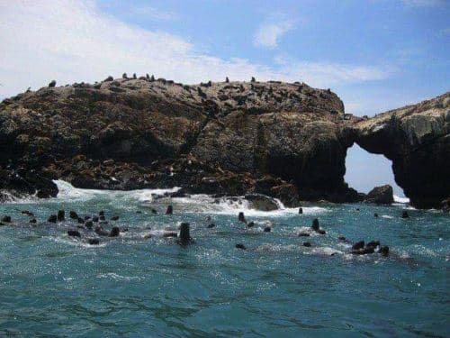 Islas Guañape recibe sello Safe Travels y ya es un destino turístico seguro