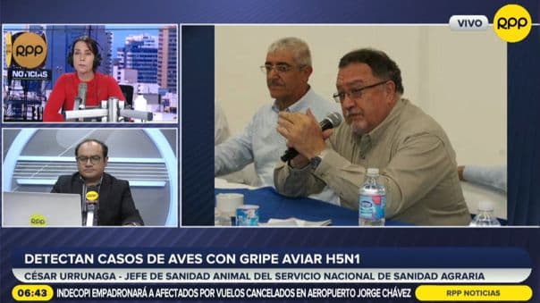 Senasa: Por el momento solo las aves silvestres están afectadas con influencia aviar