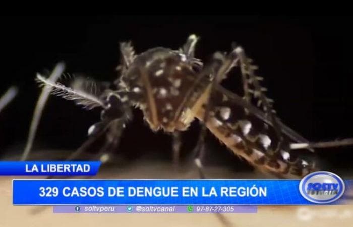 329 casos de dengue en La Libertad