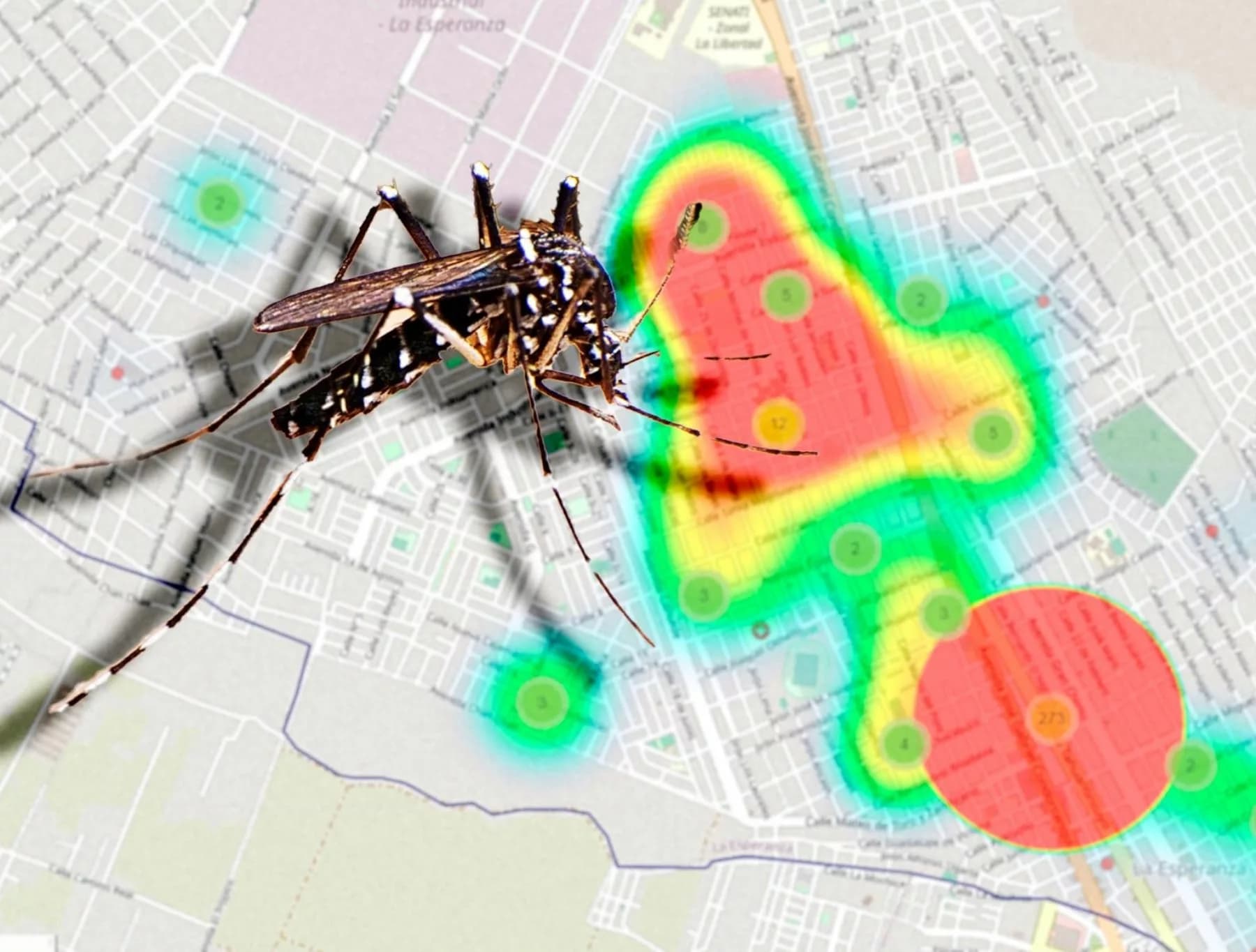 Dengue en La Libertad: región reporta la sexta víctima mortal de temible enfermedad