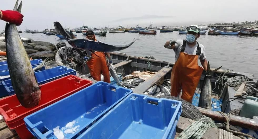 Repsol | Derrame de petróleo en Ventanilla: pescadores marcharán y responsabilizarán al Ejecutivo por lo ocurrido