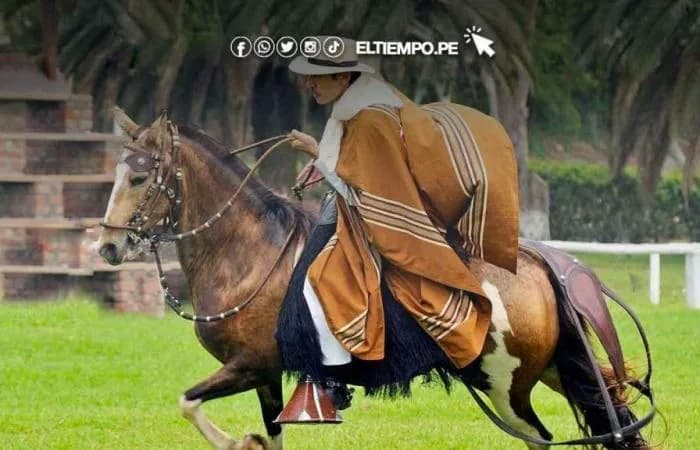 Caballos de paso brillarán en certamen este 26 y 27 de agosto en Piura