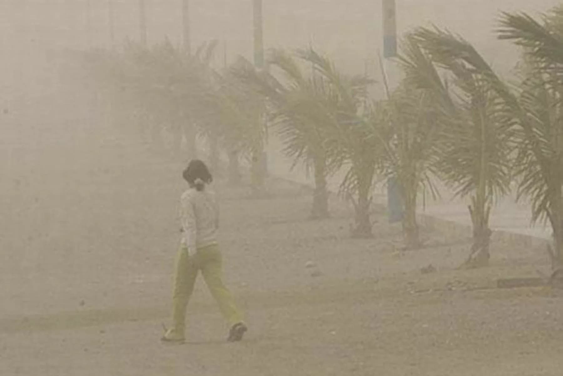 Alerta por vientos fuertes en la Costa: ¡Precaución y medidas de seguridad necesarias!