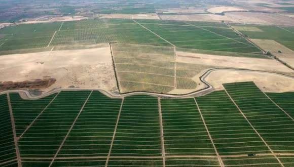 Midagri: Reactiva proyectos de irrigación y inversión en el sector agrícola, beneficiando a más de 109 mil familias productoras