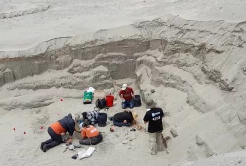 Descubrimientos Reveladores en Puémape: Un Vistazo al Pasado Preincaico de Pacasmayo