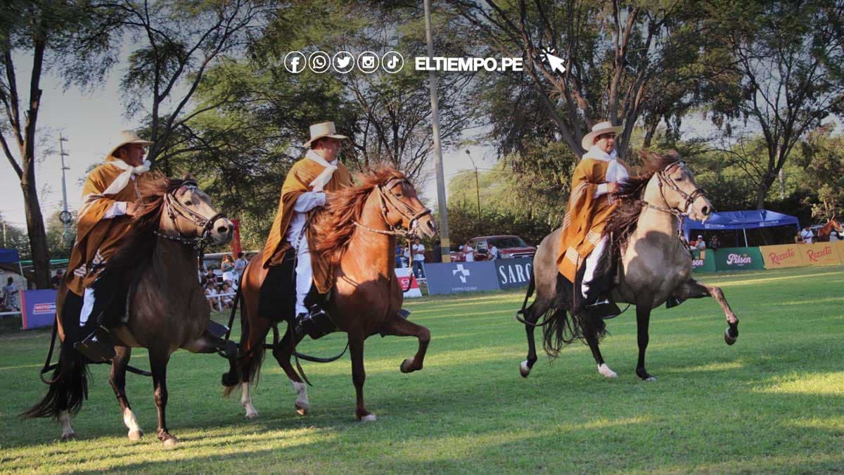 Piura en Fiesta: Celebrando su Aniversario con el XXXII Concurso Regional del Caballo Peruano de Paso