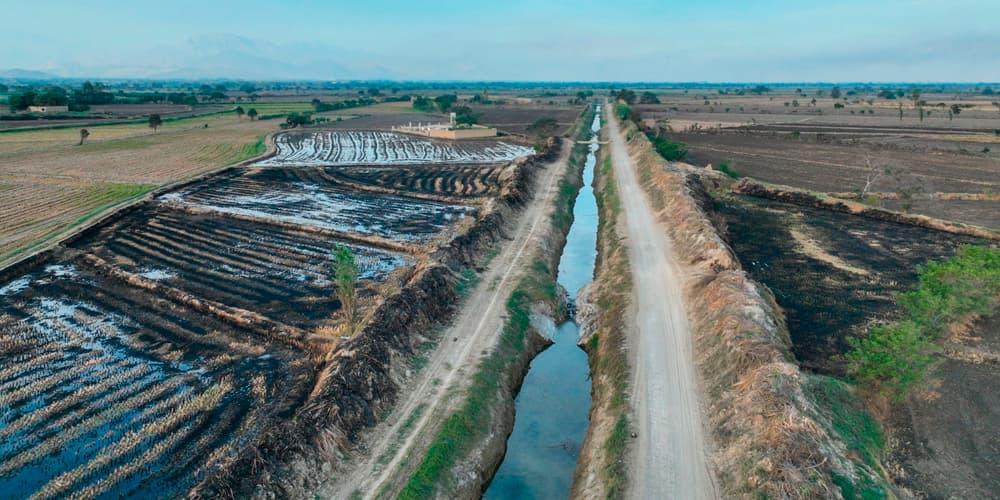 Chepén: Más de 300 Agricultores Beneficiados con la Limpieza del Dren III en Pacanga