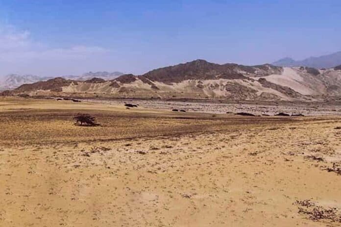 Creación del Parque Paleolítico Paiján-Cupisnique: Un Paso Hacia la Preservación del Patrimonio Cultural en La Libertad