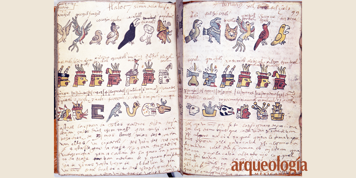 El Complejo Calendario Mesoamericano: Xiuhpohualli y Tonalpohualli