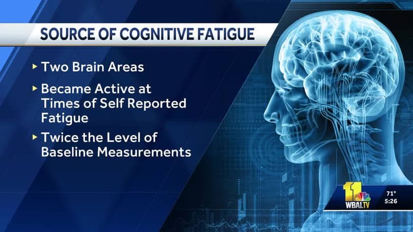 Declive cognitivo: prevención efectiva