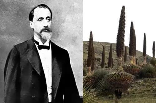 Antonio Raimondi: Sus Aportes a la Ciencia