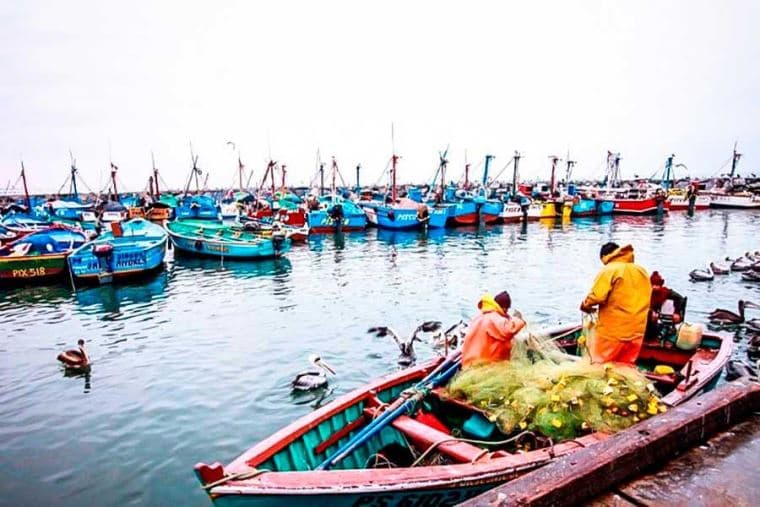 Plan de Manejo Costero: Sostenibilidad en 5 Millones de Hectáreas