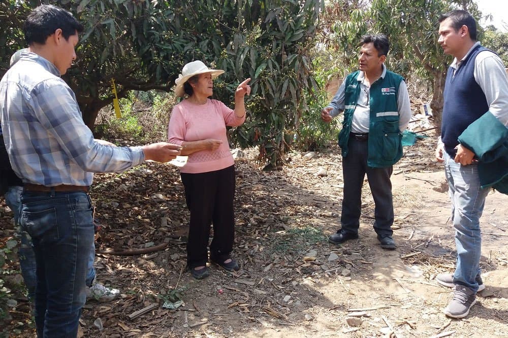 Agricultores y el Minagri unidos para erradicar las moscas de la fruta en La Libertad