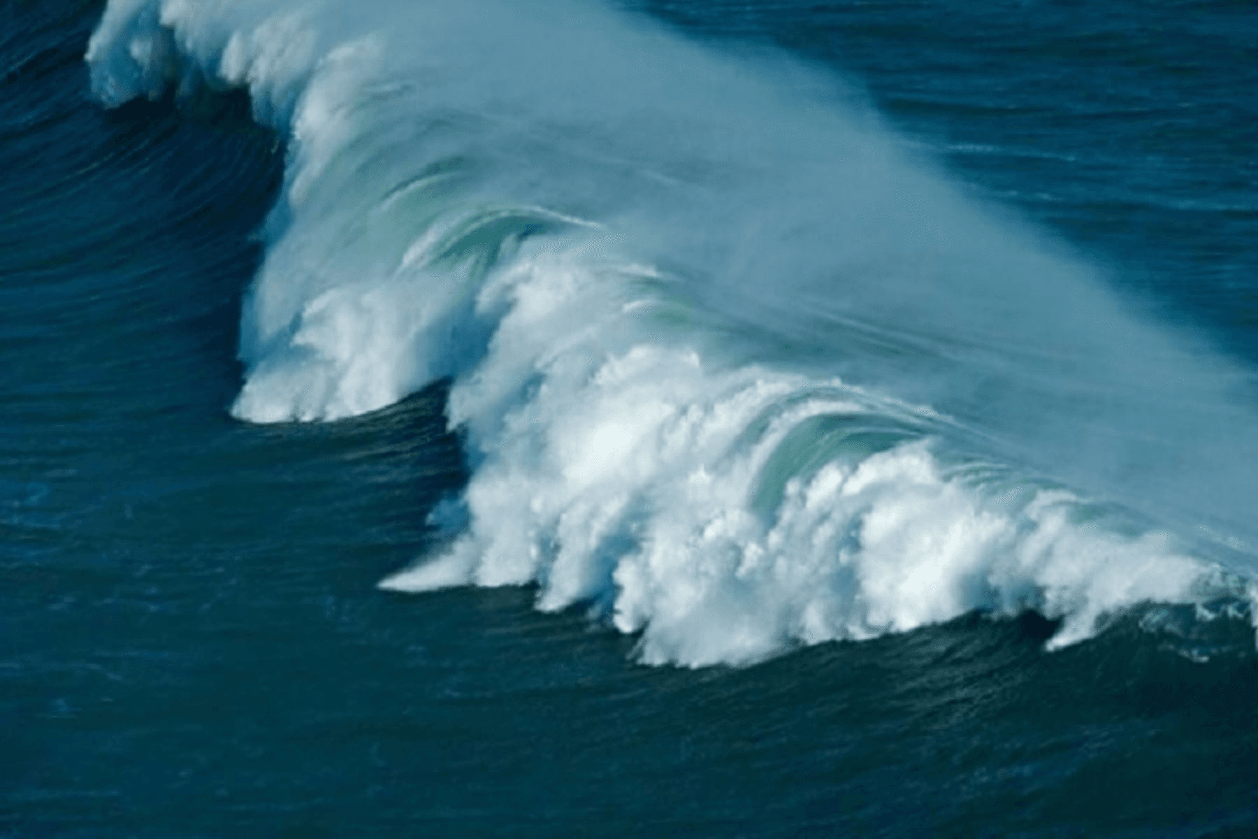 Iniciativa peruana que promueve protección de olas marinas logra distinción internacional