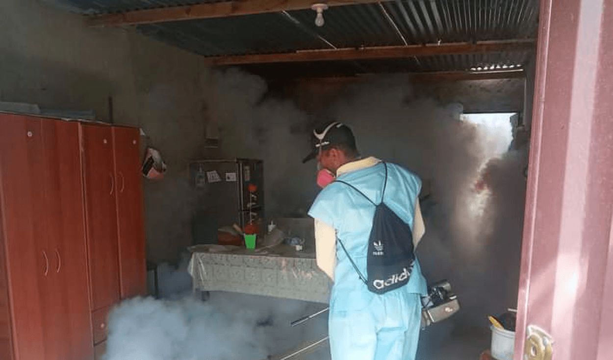 La Libertad: fumigan más de 4.000 casas para eliminar dengue