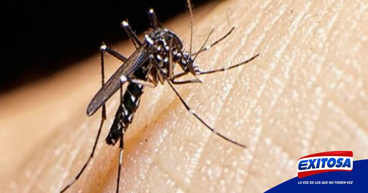 Monitorean casos de dengue en La Libertad