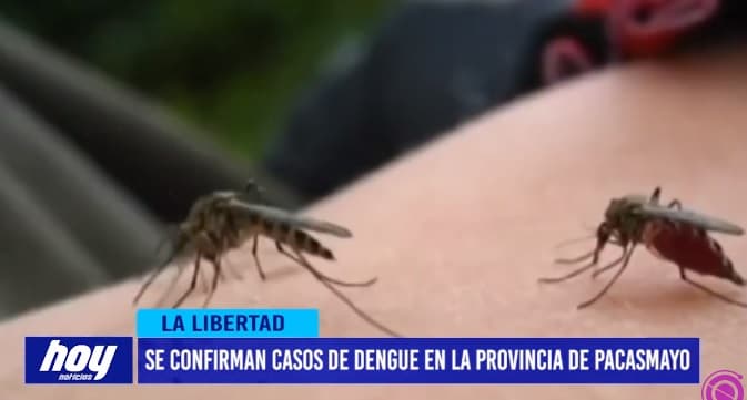 Se confirman casos de dengue en la provincia de Pacasmayo