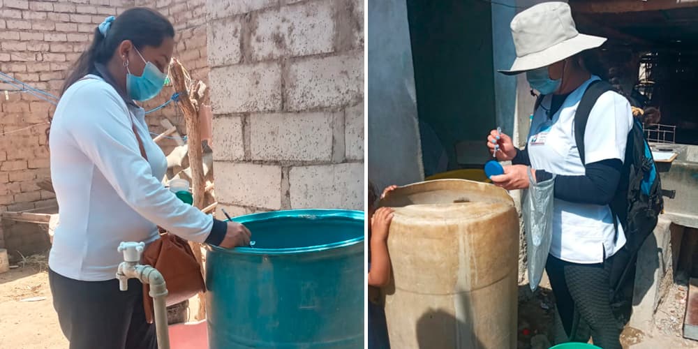 Zancudo vector del dengue está presente en 32 distritos de La Libertad