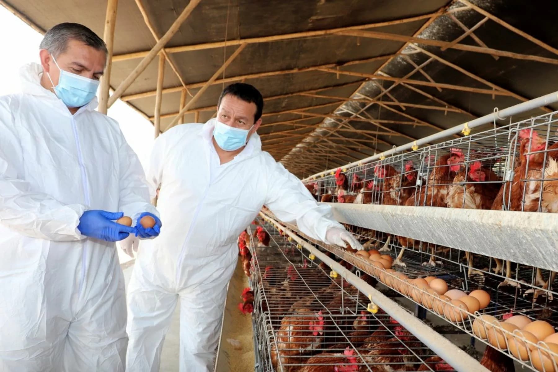 Guillain-Barré: ¿qué bacteria podría haber causado aumento de casos en La Libertad?