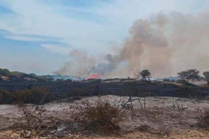Incendio en Jequetepeque afecta 7 hectáreas de vegetación