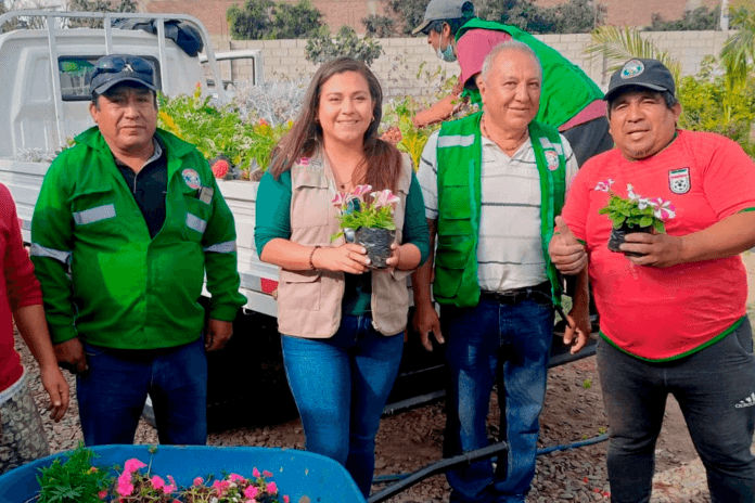 Plantones para Reverdecer Chepén: Un Futuro Sostenible