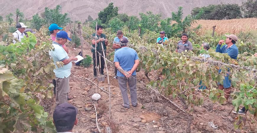 Agricultura en Libertad: Incremento de Siembras 2025-2026