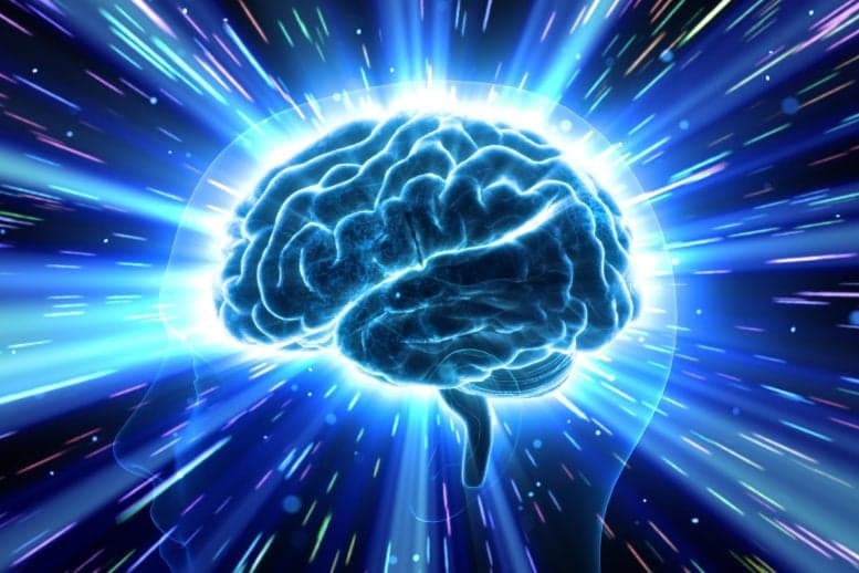 El declive cognitivo no es inevitable: mejora tu cerebro