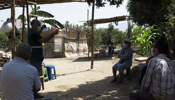 Productores de Chepén y Pacasmayo se capacitan para iniciar acciones de control de moscas de la fruta