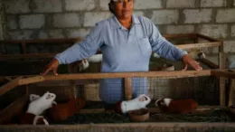 Peruanos que suman