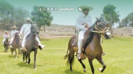 Caballo peruano de paso se lucirá en concurso