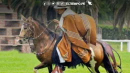 Caballos de paso brillarán en certamen este 26 y 27 de agosto en Piura