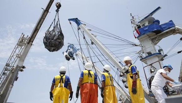 Fenómeno de El Niño impactaría a la pesca hasta el 2024