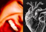 La Ira y el Corazón: Cómo un Estallido de Ira Puede Incrementar el Riesgo de Infarto