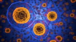 Descubrimiento Revolucionario: Cambios Moleculares Reversibles Pueden Causar Cáncer, Según Estudio