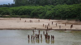 Avistamiento de Tribu Mashco Piro en la Amazonía Peruana