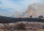 Incendio en Jequetepeque afecta 7 hectáreas de vegetación