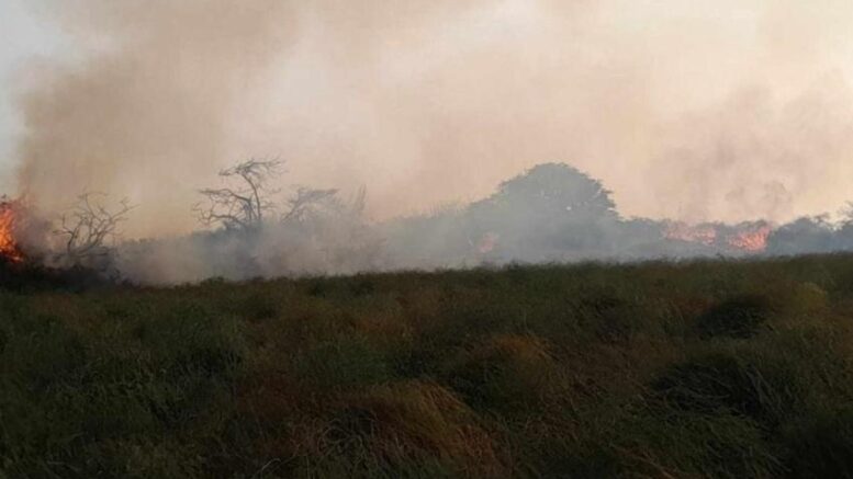 Incendio cerca de asilo en San Pedro