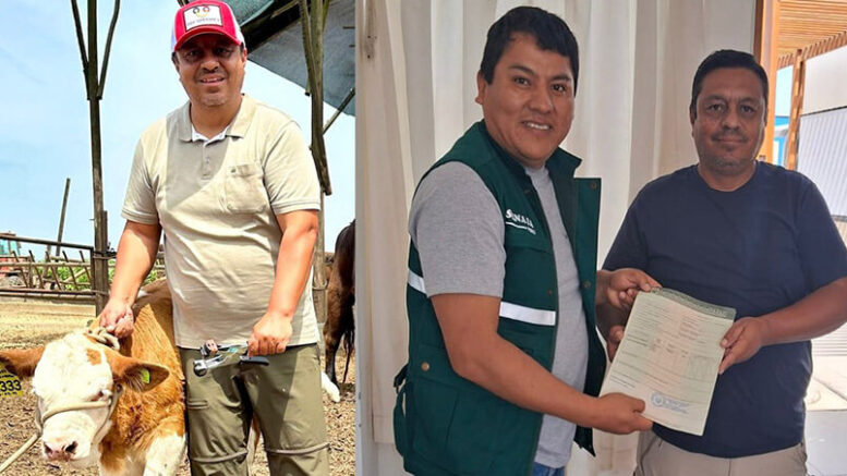 Pruebas Genéticas para el Ganado Fleckvieh en Perú