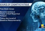 Declive cognitivo: prevención efectiva Declive cognitivo: prevención efectiva