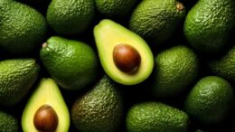 Cerro Prieto lidera en exportaciones de palta Hass en Chepén Cerro Prieto lidera en exportaciones de palta Hass en Chepén